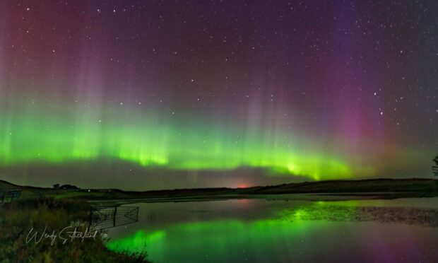 Northern Lights captured by Wendy Sutherland.
