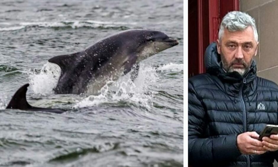 A pair of dolphins in the Moray Firth and Bogdan Luca leaving Elgin Sheriff Court.