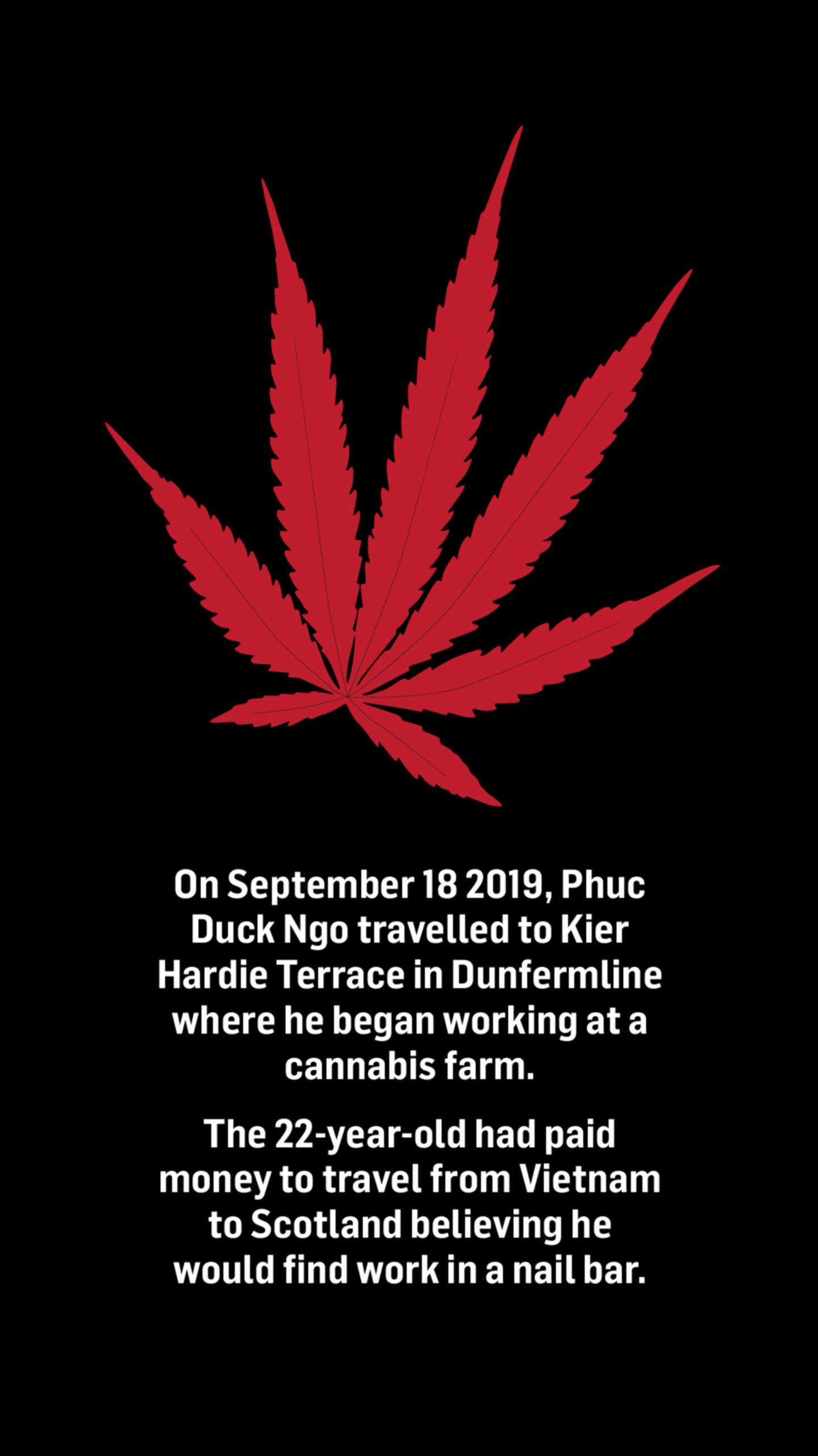 A cannabis plant above text which reads: On September 18, 2019, Phuc Duck Ngo travelled to Kier Hardie Terrace in Dunfermline where he began working at a cannabis farm. The 22-year-old had paid money to travel from Vietnam to Scotland believing he would find work in a nail bar.