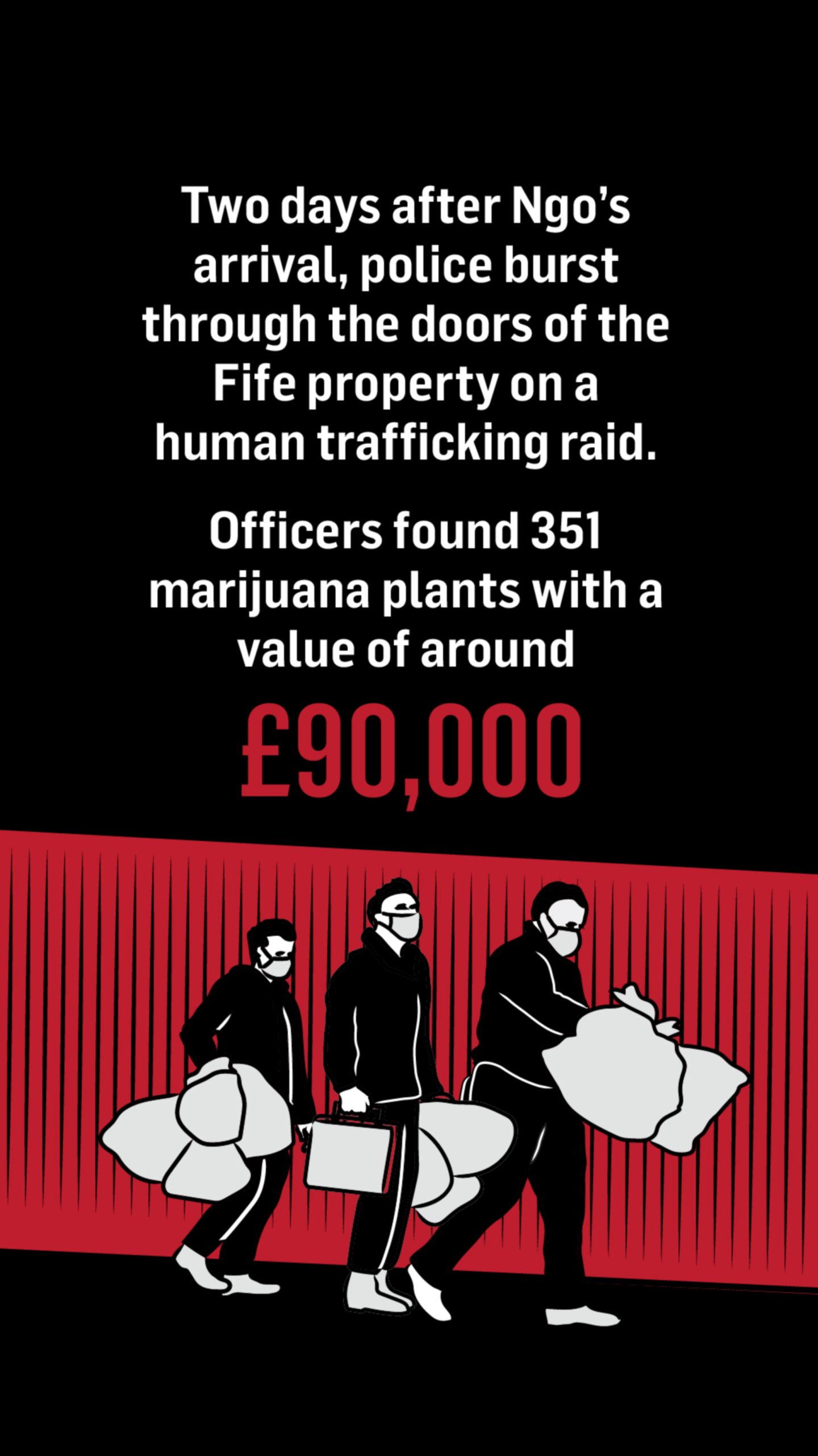 Men wearing masks carrying white bags below text which reads: Two days after Ngo's arrival, police burst through the doors of the Fife property on a human trafficking raid. Officers found 351 marijuana plants with a value of around £90,000.