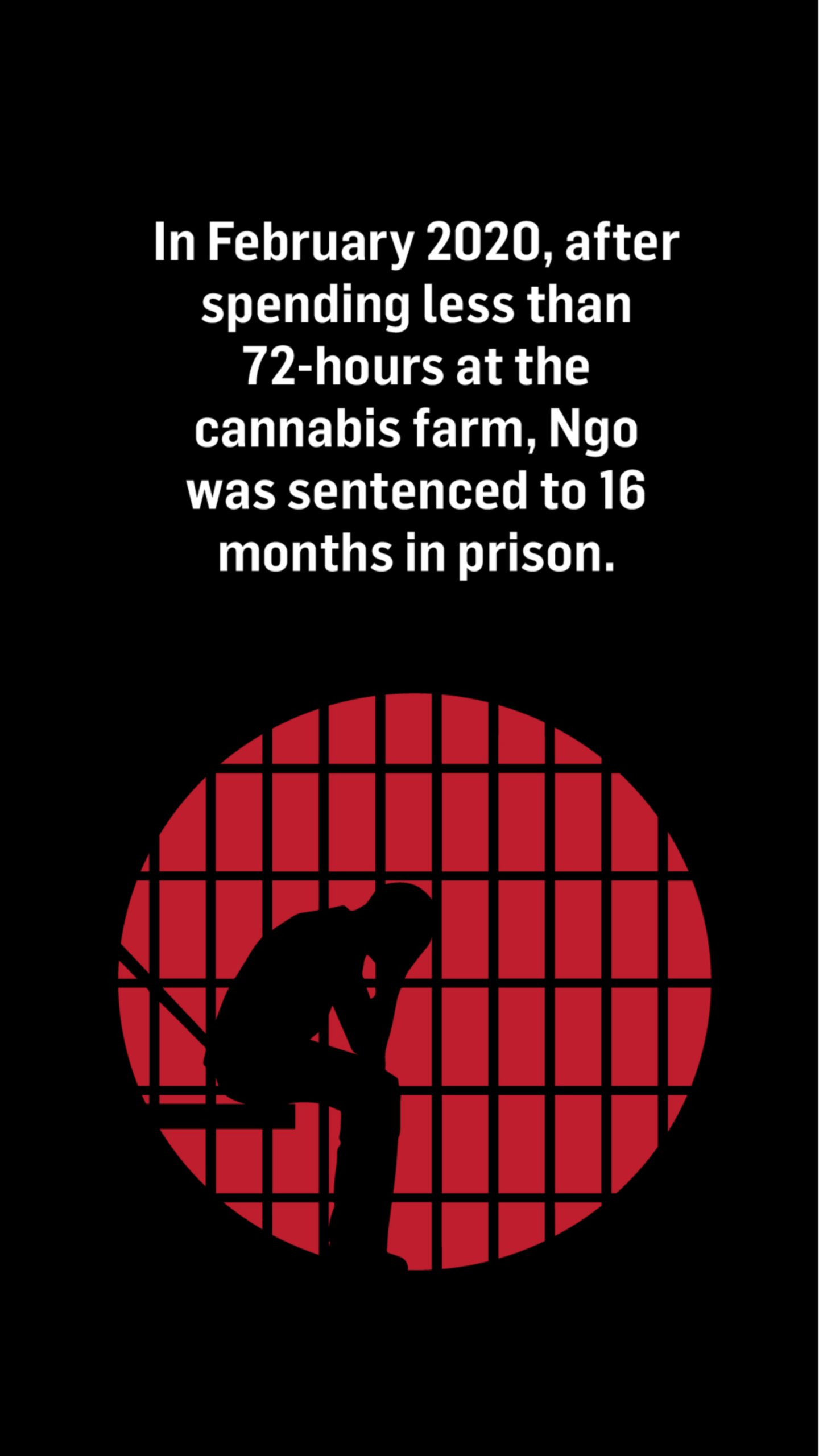 The silhouette of a man sitting in a prison cell with his head in his hands. Above the image, the text reads: In February 2020, after spending less than 72 hours at the cannabis farm, Ngo was sentenced to 16 months in prison.