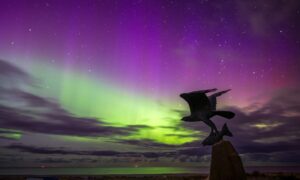 Northern Lights at the Dolphin Centre in Fochabers.