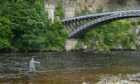 Angler in River Spey under Craigellachie bridge.