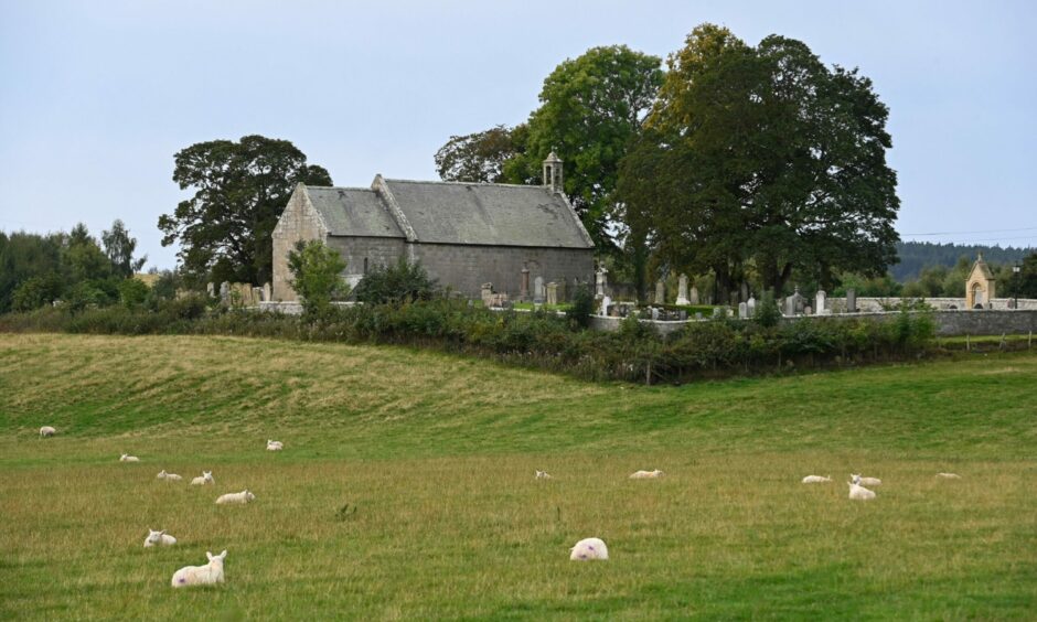 Looking across field of sheep to Birnie Kirk.