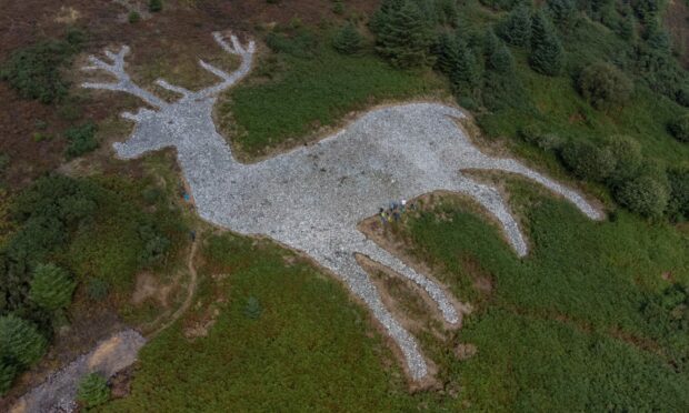The majestic white stag of Mormond Hill from the air. Image: Kenny Elrick.