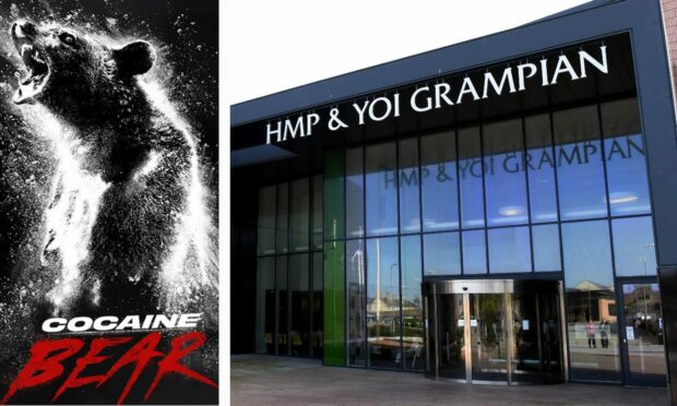 Cocaine Bear was one of the most popular movies at the HMP Grampian library. Image: Universal Pictures / DC Thomson