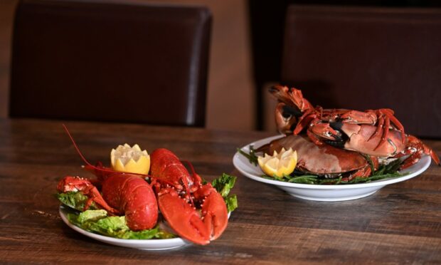 Cammies Seafood Restaurant is hosting the event. Image: Darrell Benns/DC Thomson