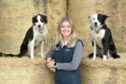 Sophie Forbes at home on the family farm with her collie dogs. Pictures by Sandy McCook/DC Thomson