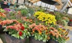 Autumn planters at Simpsons garden centre.