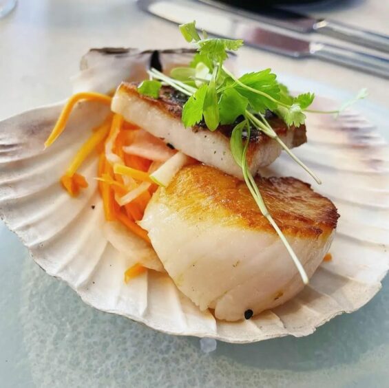 Scallops on plate