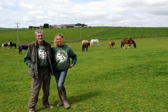 New Arc founders Keith and Pauline Marley at the rescue centre site near Auchnagatt. Image: Colin Rennie/DC Thomson