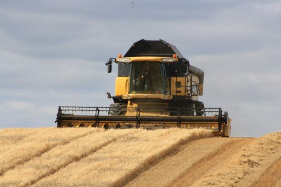 Farmers have reported varying quality in the spring barley harvest due to poor weather conditions.