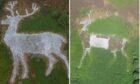 The famous white stag of Mormond Hill now, in September 2023, after being restored. And, on the right, as it was in 2015. Image: Kenny Elrick.