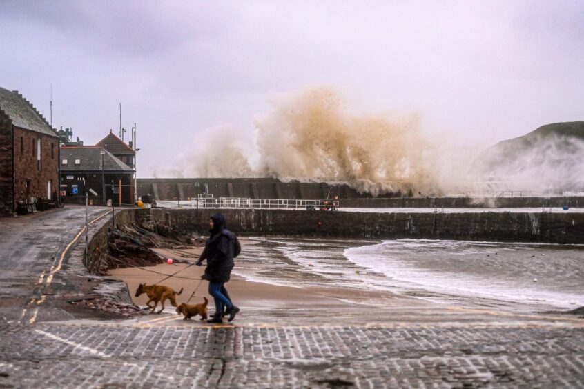 Aberdeenshire dog walkers braving the storm.