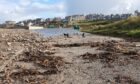 Seaweed and rocks in foreground with flood water behind.