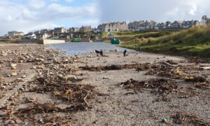 Seaweed and rocks in foreground with flood water behind.
