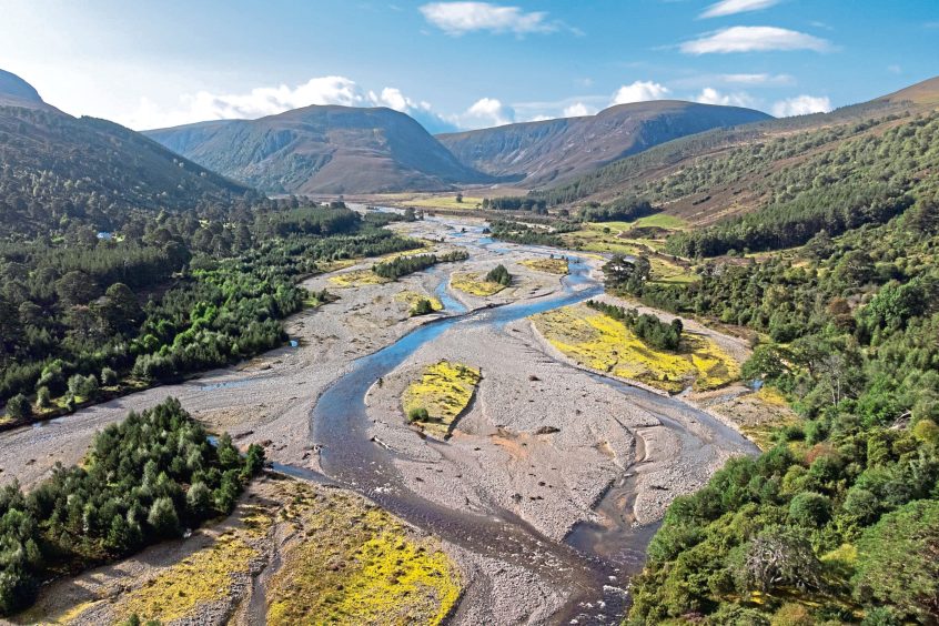 The River Feshie running through the cairngorms, where rewilding projects are taking place