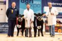 Michael Robertson, left, from Fodderletter stood reserve champion in the baby beef section with home-bred steer, Brewdog. Photography by MacGregor Photography
