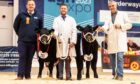Michael Robertson, left, from Fodderletter stood reserve champion in the baby beef section with home-bred steer, Brewdog. Photography by MacGregor Photography