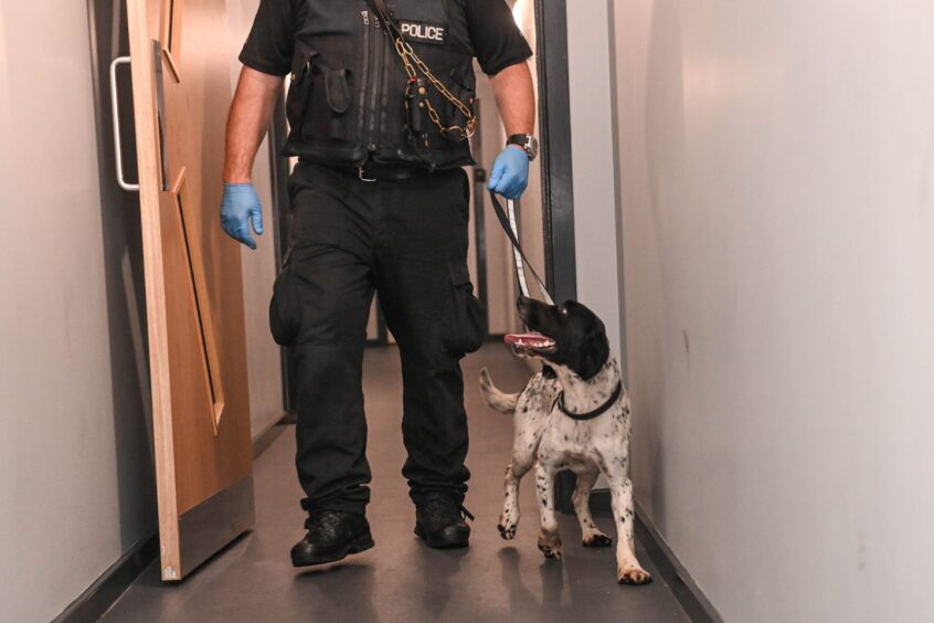 Police officer and search dog standing.