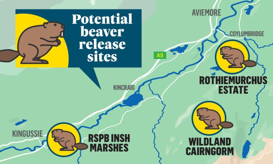 map of beaver release sites