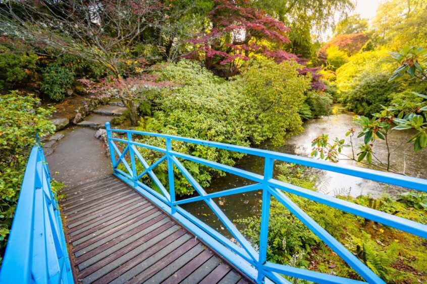 a blue bridge cuts across a body of water in Johnston Gardens, one of the parks and gardens in Aberdeen