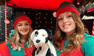 Charlie House elves