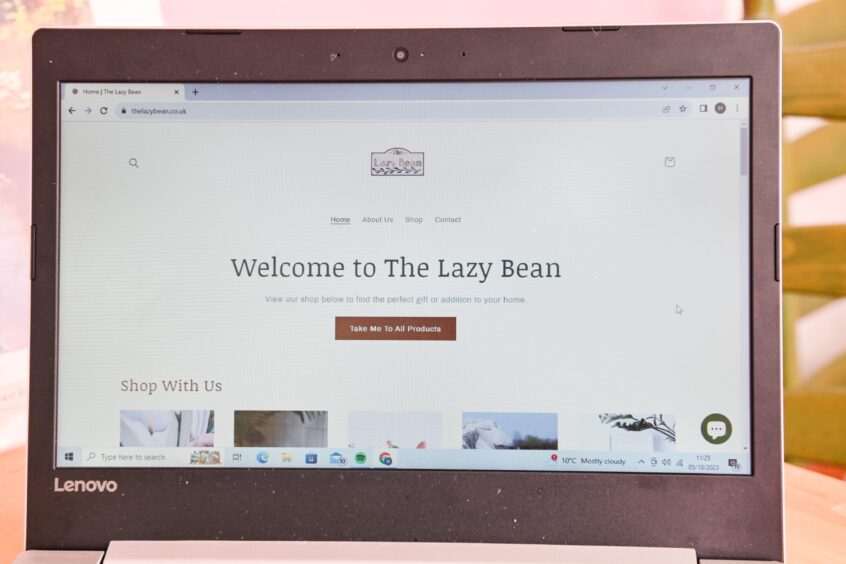 The lazy bean website