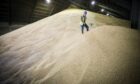 The malting barley premium hit a September record of £67.50. Image: Kris Miller/DCT Media