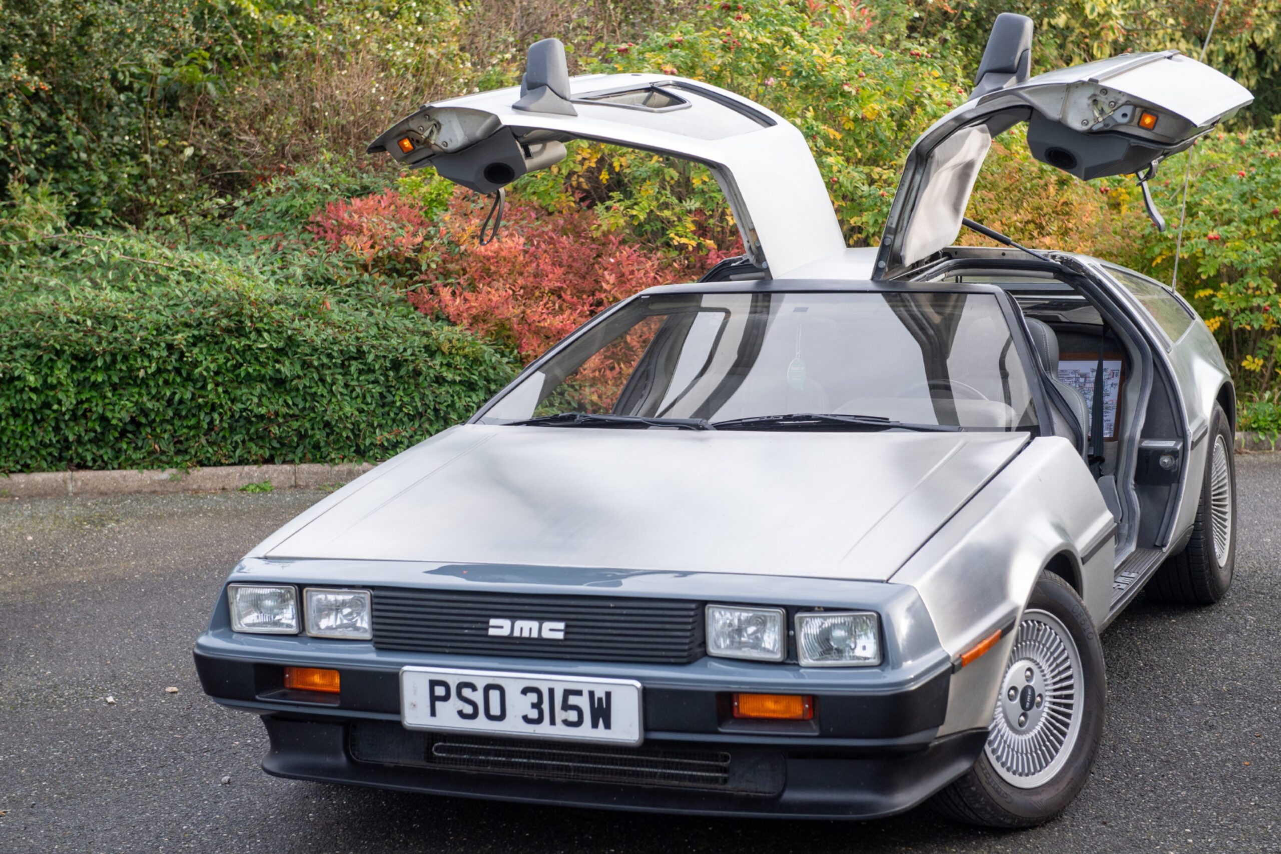 DeLorean on driveway with hedges behind with both doors popped open. 