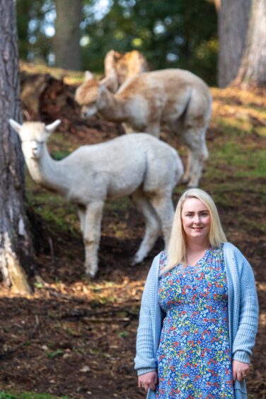 Emily Coull and her alpacas, in an Aberdeenshire forest