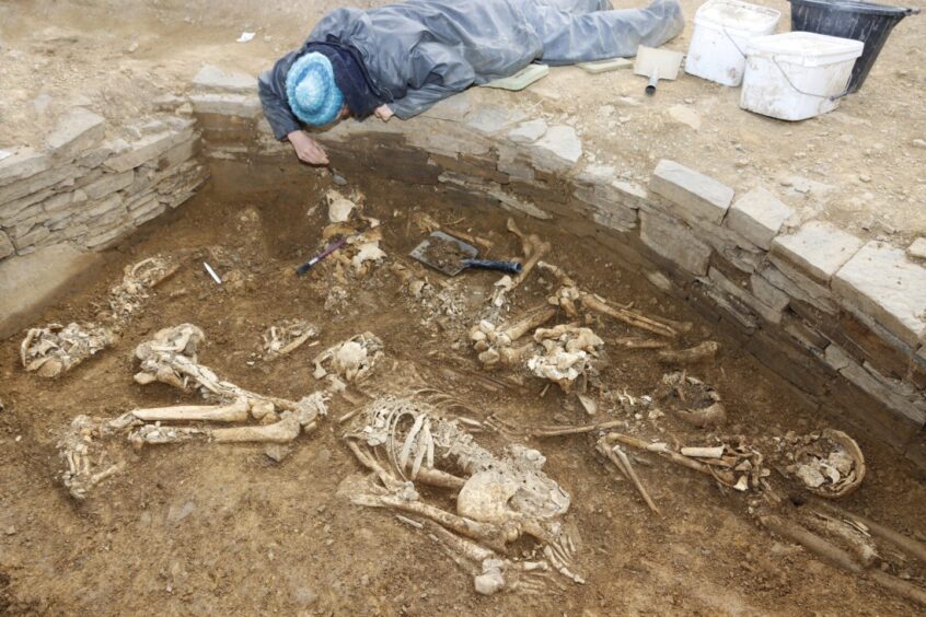 Excavators uncover skeletal remains