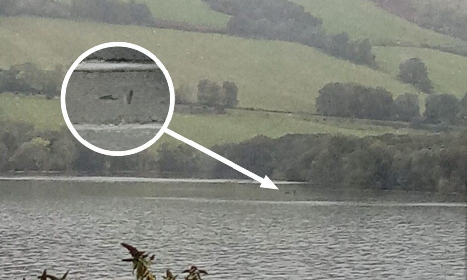 A recent new reported sighting of Nessie Picture shows; Nessie?. Loch Ness. Supplied by Loch Ness Centre/John Howie Date; 18/10/2023