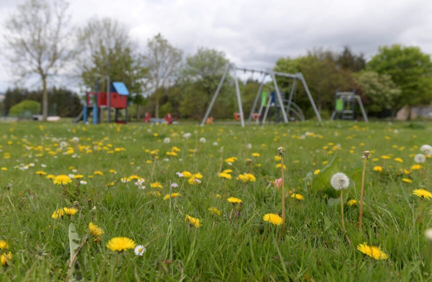 Grass could be left uncut and playparks removed across Aberdeen as part of city council budget proposals. Councillors will have their final say in March. Image: Kath Flannery/DC Thomson
