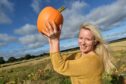 Cawdor Pumpkin Patch owner Sibby Arkell-Glover is celebrating a successful debut season. Image:
Sandy McCook/DC Thomson