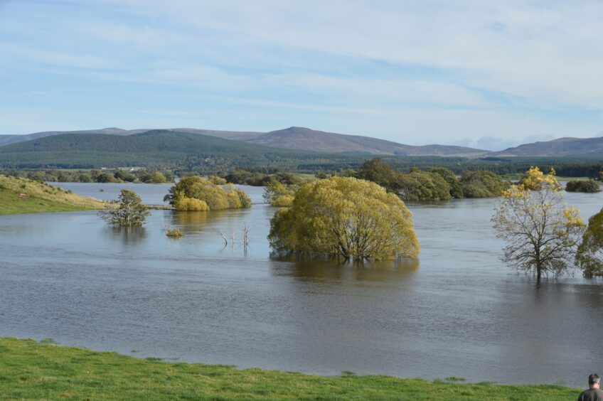 Flood water swamps fields surrounding Nethy Bridge. 