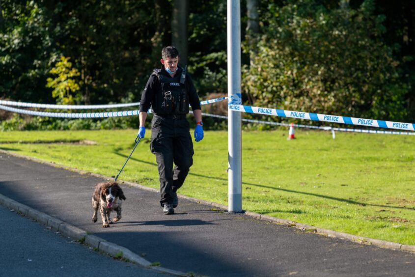 A dog handler and police dog working in Logie Road, Crimond. 
