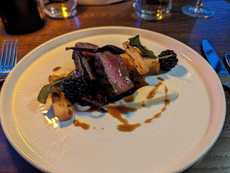 The Ardgay venison at the Varrich restaurant at the Tongue Hotel, served with parsnip puree, potato terrine, braised red cabbage, pickled salsify, brambles and a red wine jus. Image: Alastair Gossip/DC Thomson