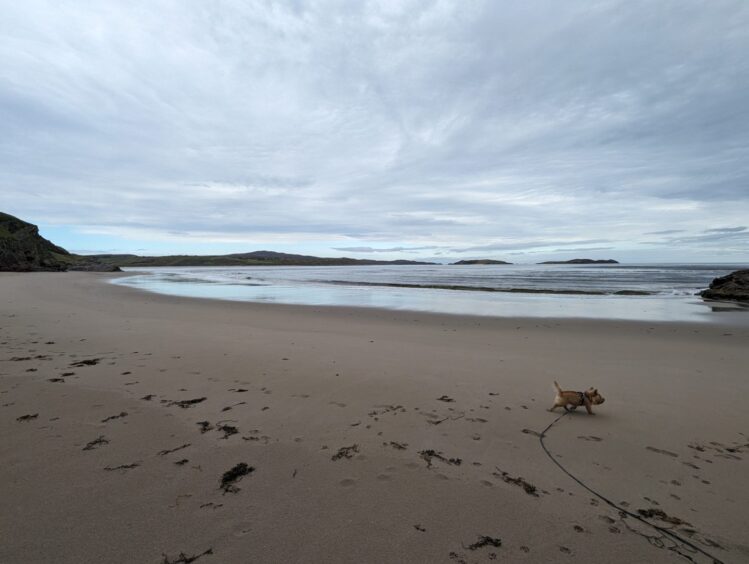Views across Kyle of Tongue from Coldbackie beach. Image: Alastair Gossip/DC Thomson