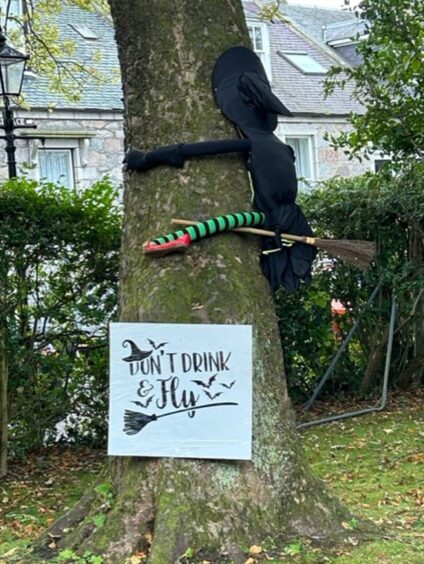 Sign that says "don't drink and fly" pinned to tree by Phionna McInnes for Halloween.