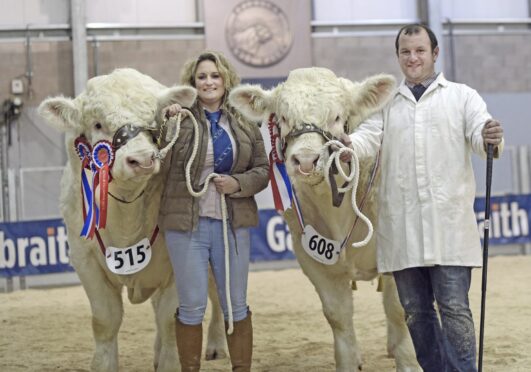 Keith duo Darren Irvine and Michelle Hanson with their 30,000gns and 22,000gns bulls. Picture by Ron Stephen.