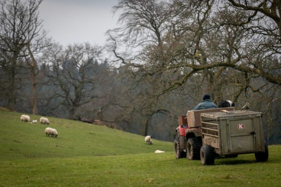 A proportion of farmers and crofters are awaiting payments. Image: Steve Brown/DC Thomson