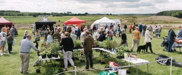 People standing and visiting tents at Chapleton farmers market.