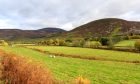 NFU Scotland (NFUS) argued that the ban will attract Scotland's hillside to monocultures of tick-laden nature-depleted bracken.