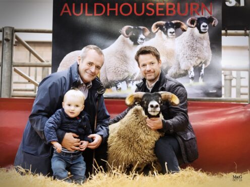 Hugh and Alan Blackwood with Hugh's grandson Ben, and the family's sale leader. Image by MacGregogr Photography