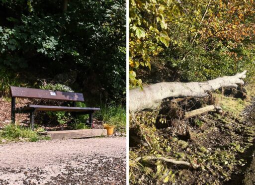 Before and after: A Culter memorial bench  destroyed by damage from Storm Babet.