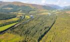 The Great Glen Woodlands near Fort William covers 336 acres.
