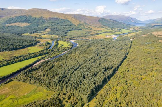The Great Glen Woodlands near Fort William covers 336 acres.