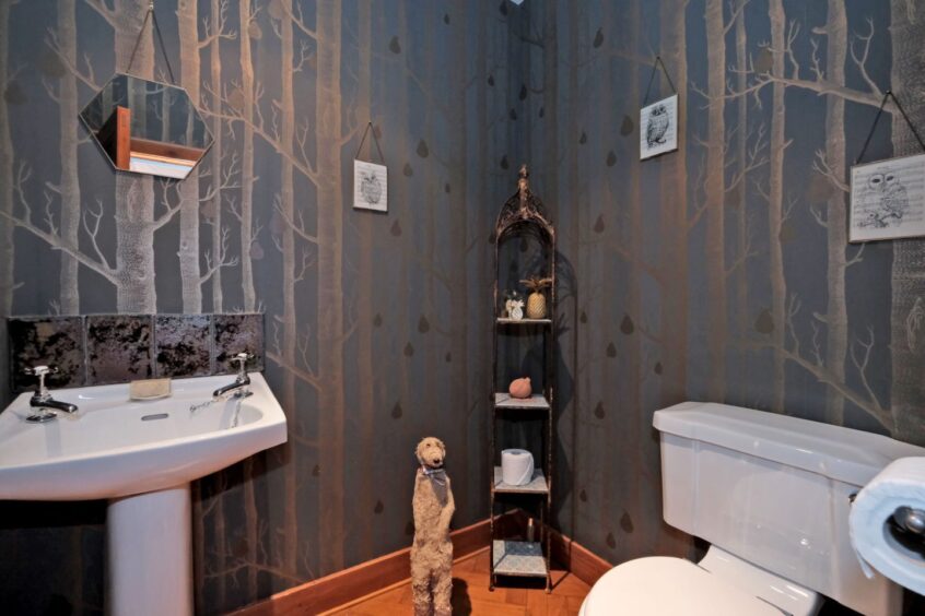 The bathroom of the historic aboyne apartment, with dark blue forest print wallpaper