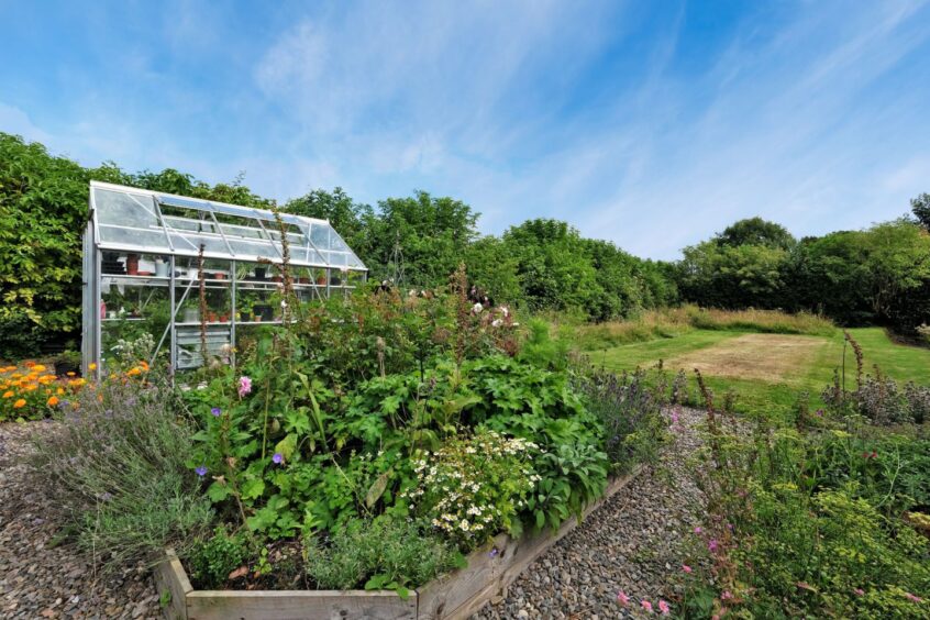 The garden of the renovated Inverurie home with a greenhouse